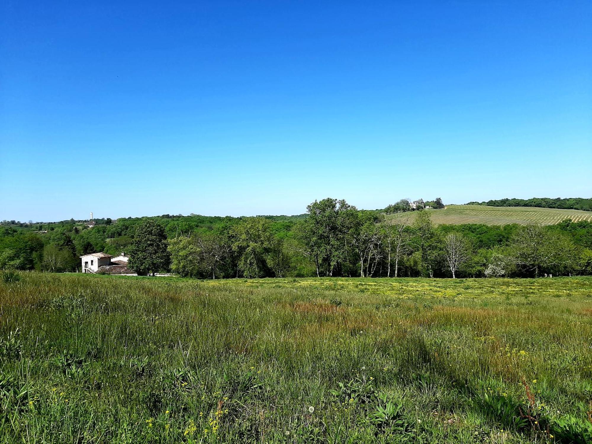 Aux Tuileries Nord B&B Créon Dış mekan fotoğraf